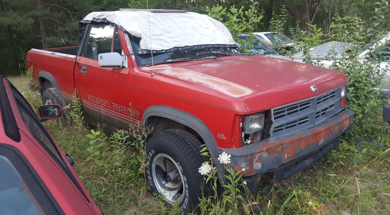Illustration for article titled A Michigan Town Is Forcing This Man To Sell 20 Old Cars Off His Property Every Month